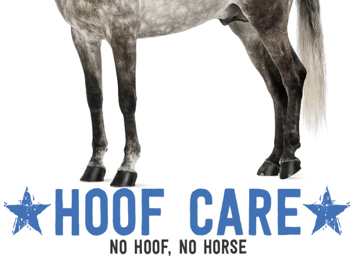 Hoof Care Tips