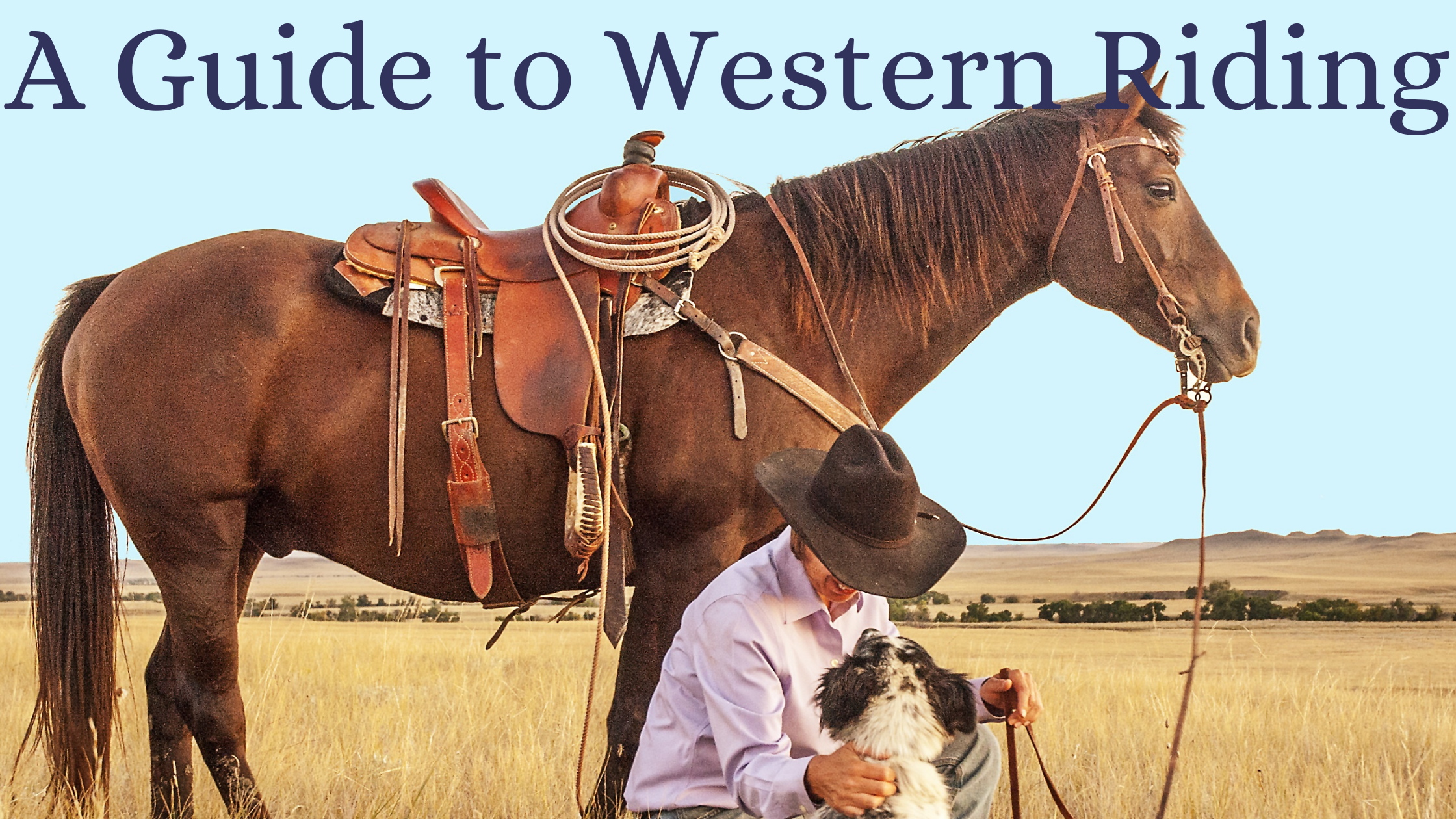 western horse rider on horse