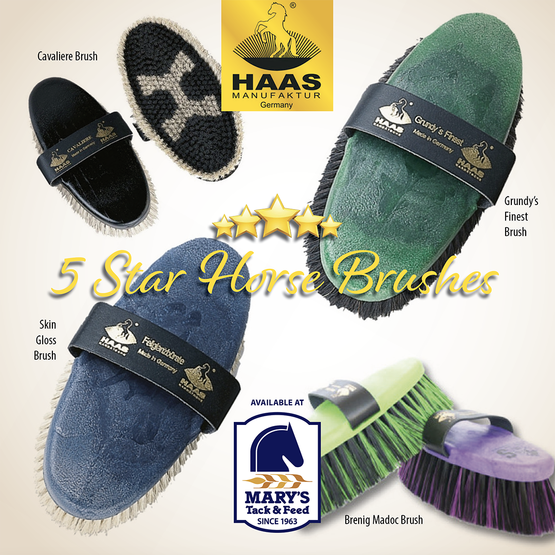 https://marystack.com/product_images/uploaded_images/best-horse-brushes-by-haas-marys-tack-shop.png