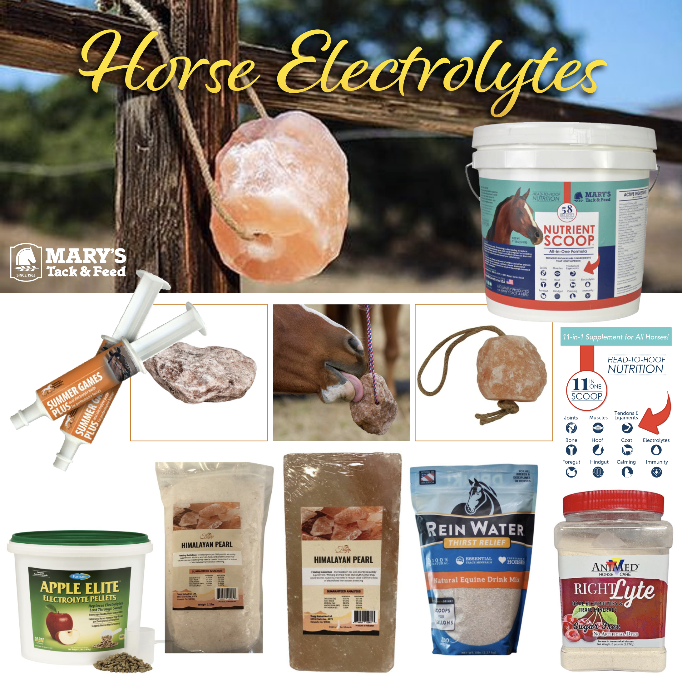 best salt for horse, hydration tips, salt, electrolytes
