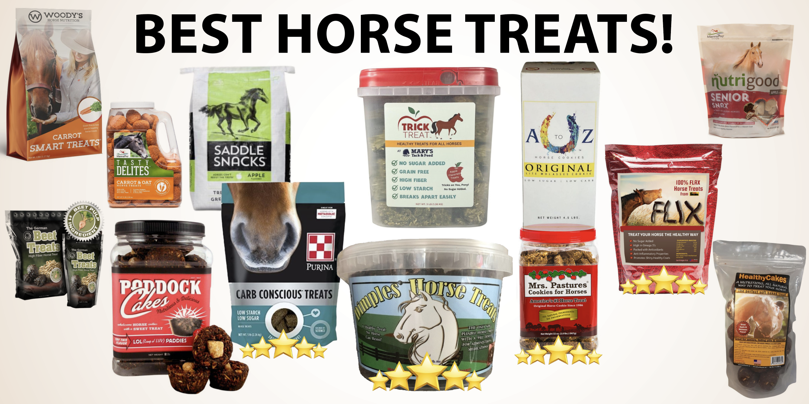 best horse treats-best horse cookies-healthy snacks for horses
