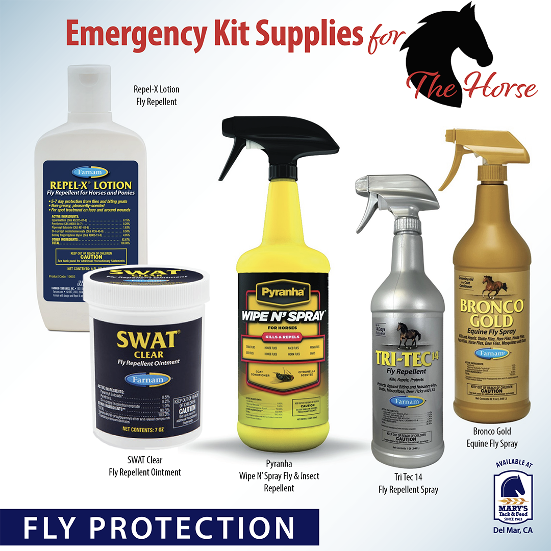 Fly Protection for Horse Injuries