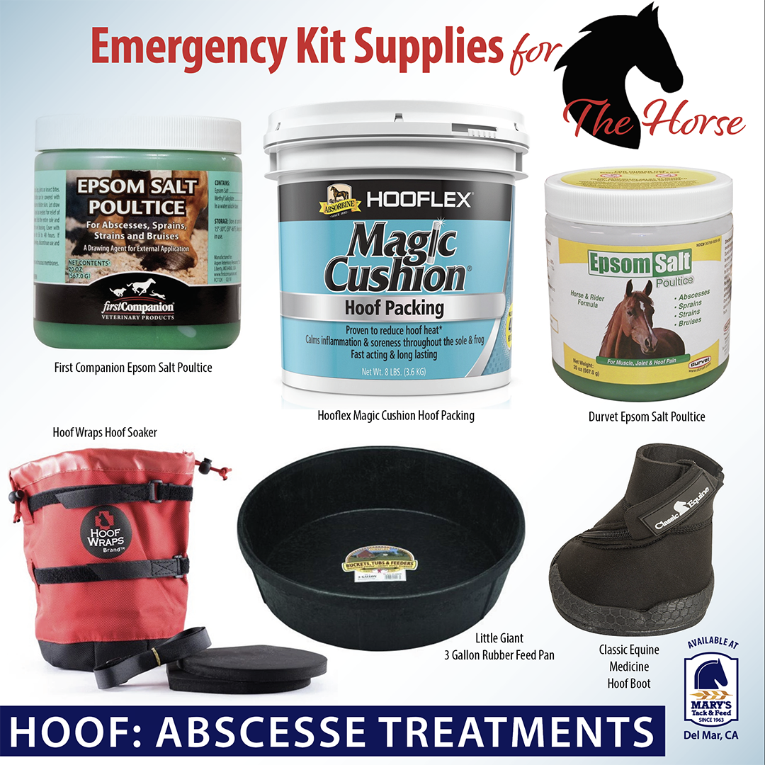 Horse Hoof Abscesses and Healing Products