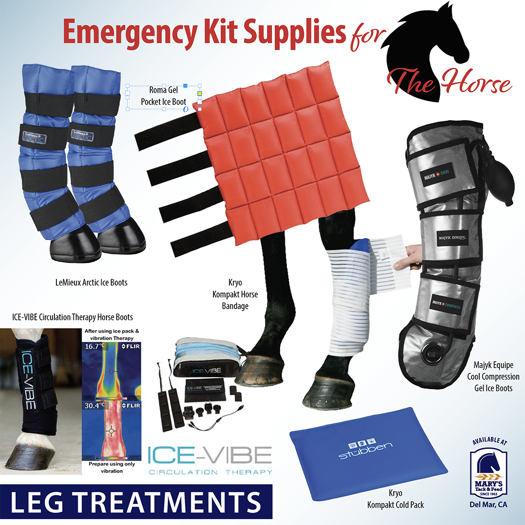 Ice Therapy and Leg Wraps for Horse Health