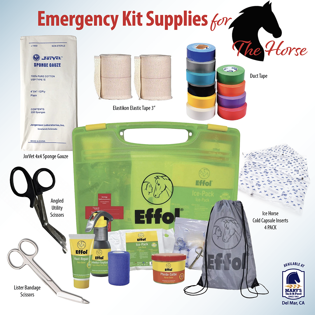 Emergency Kit for Horse - Basic Supplies