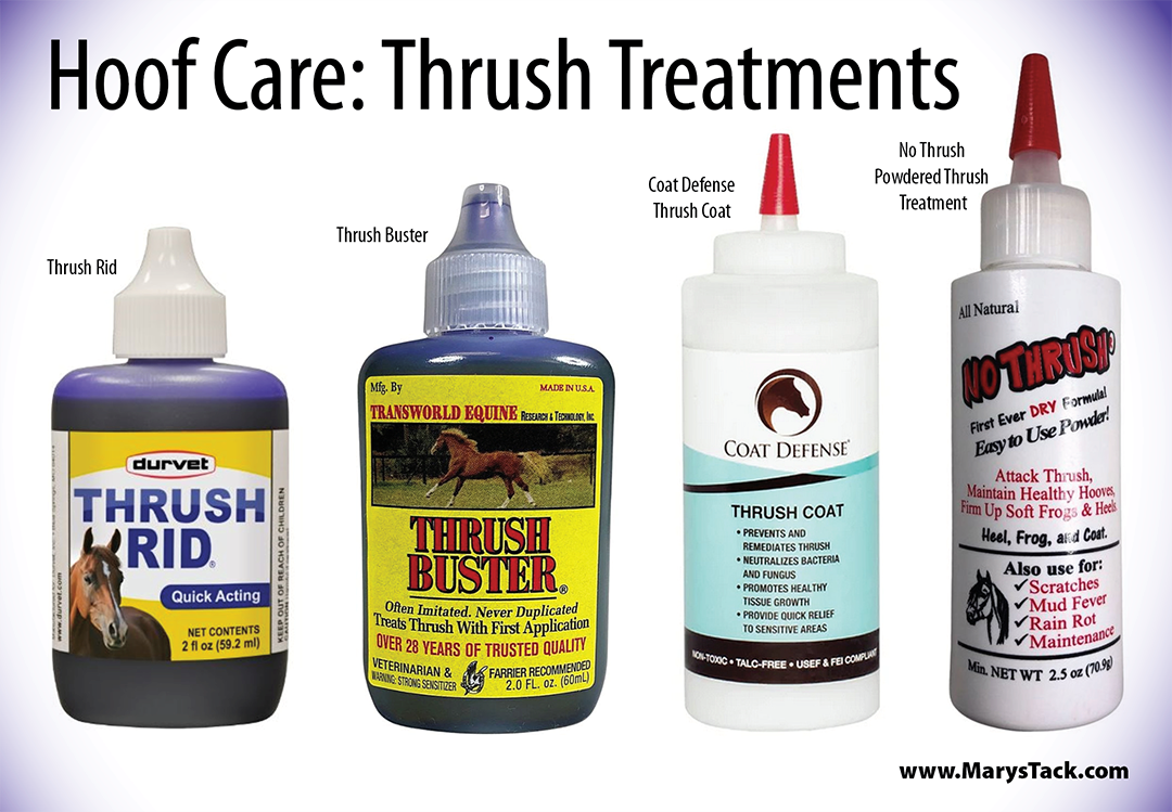Thrush Treatment Assorted thrush treatments for horse hooves