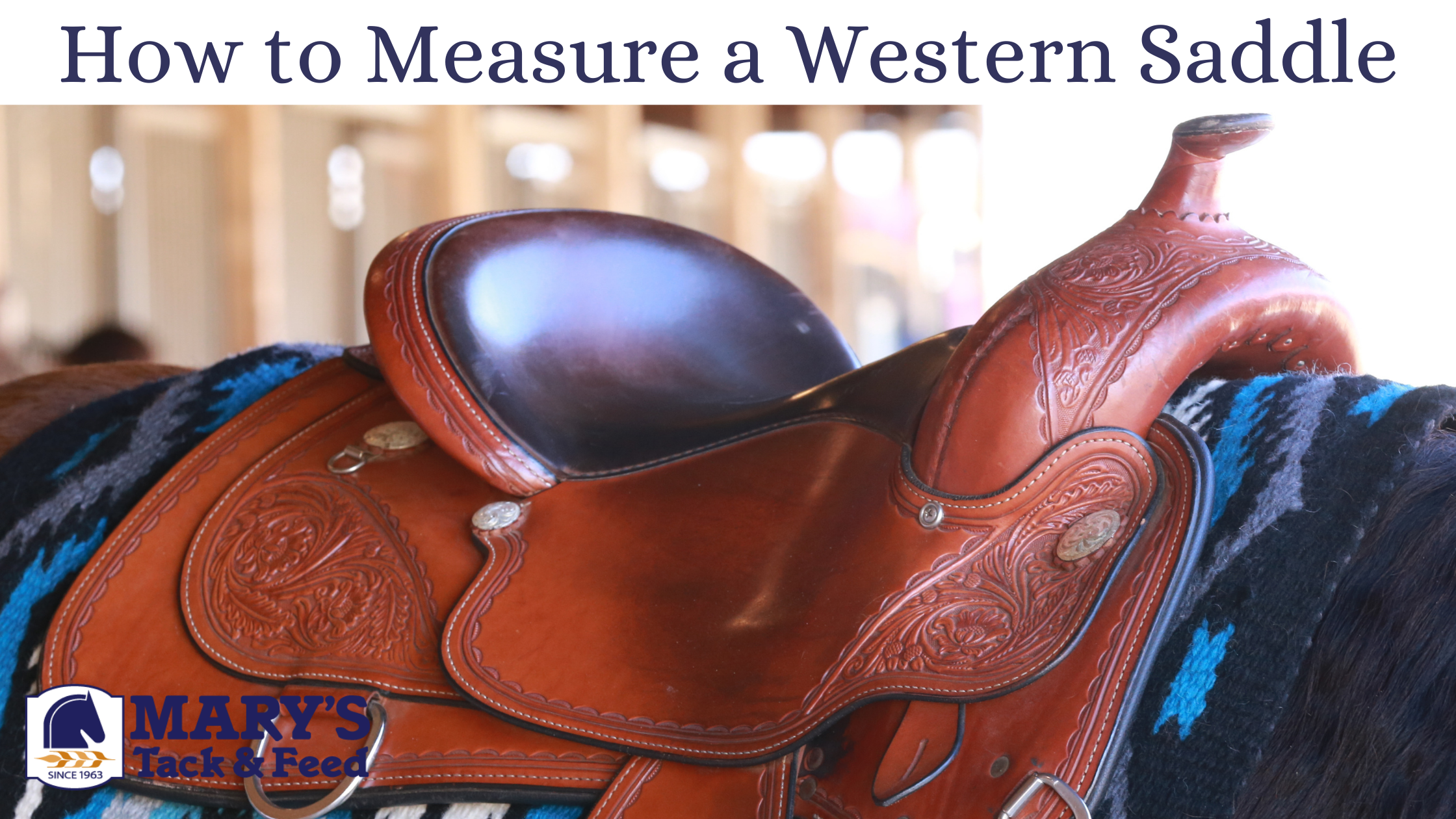 How To Measure A Western Saddle - Marys Tack & Feed