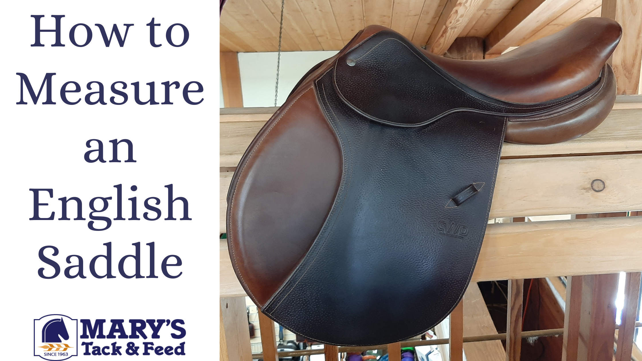 Choosing discount saddle width