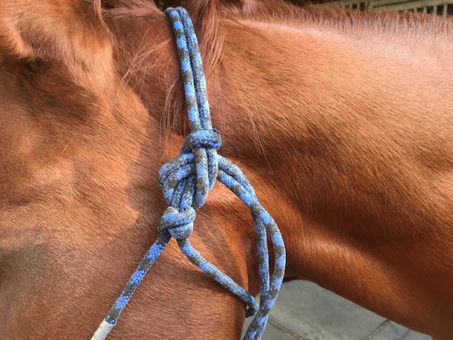 How to Tie a Rope Halter - Marys Tack & Feed