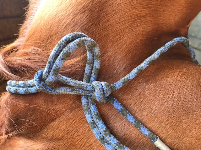 How to Tie a Rope Halter - Marys Tack & Feed