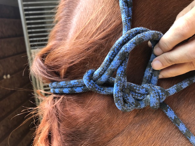 How to Tie a Rope Halter - Marys Tack & Feed