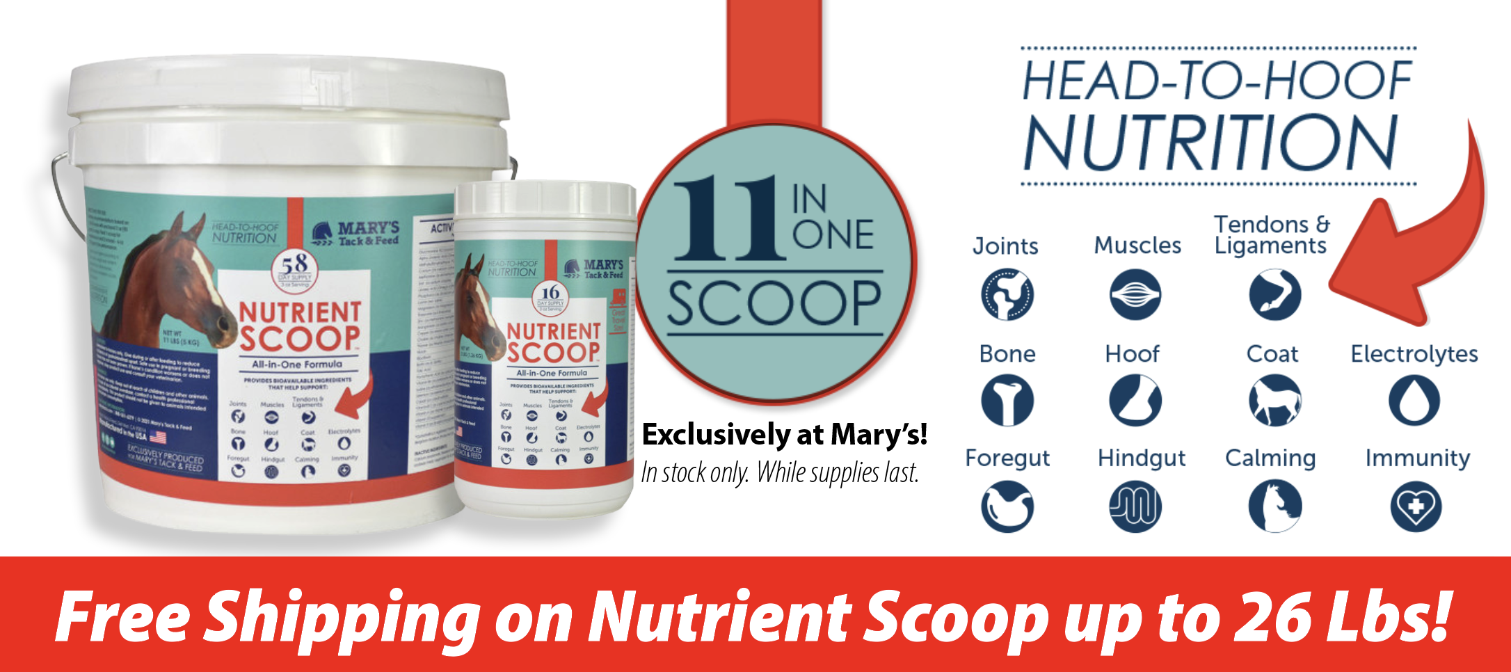 nutrient-scoop-free-shipping-up-to-26-lbs.png