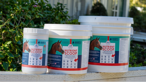 Nutrient Scoop All-in-one best horse supplement