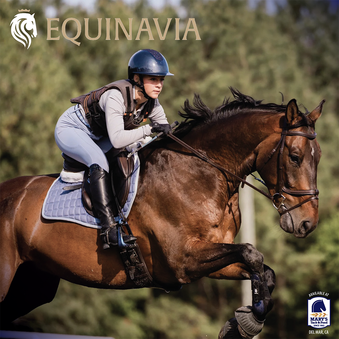 Equinavia Helmet