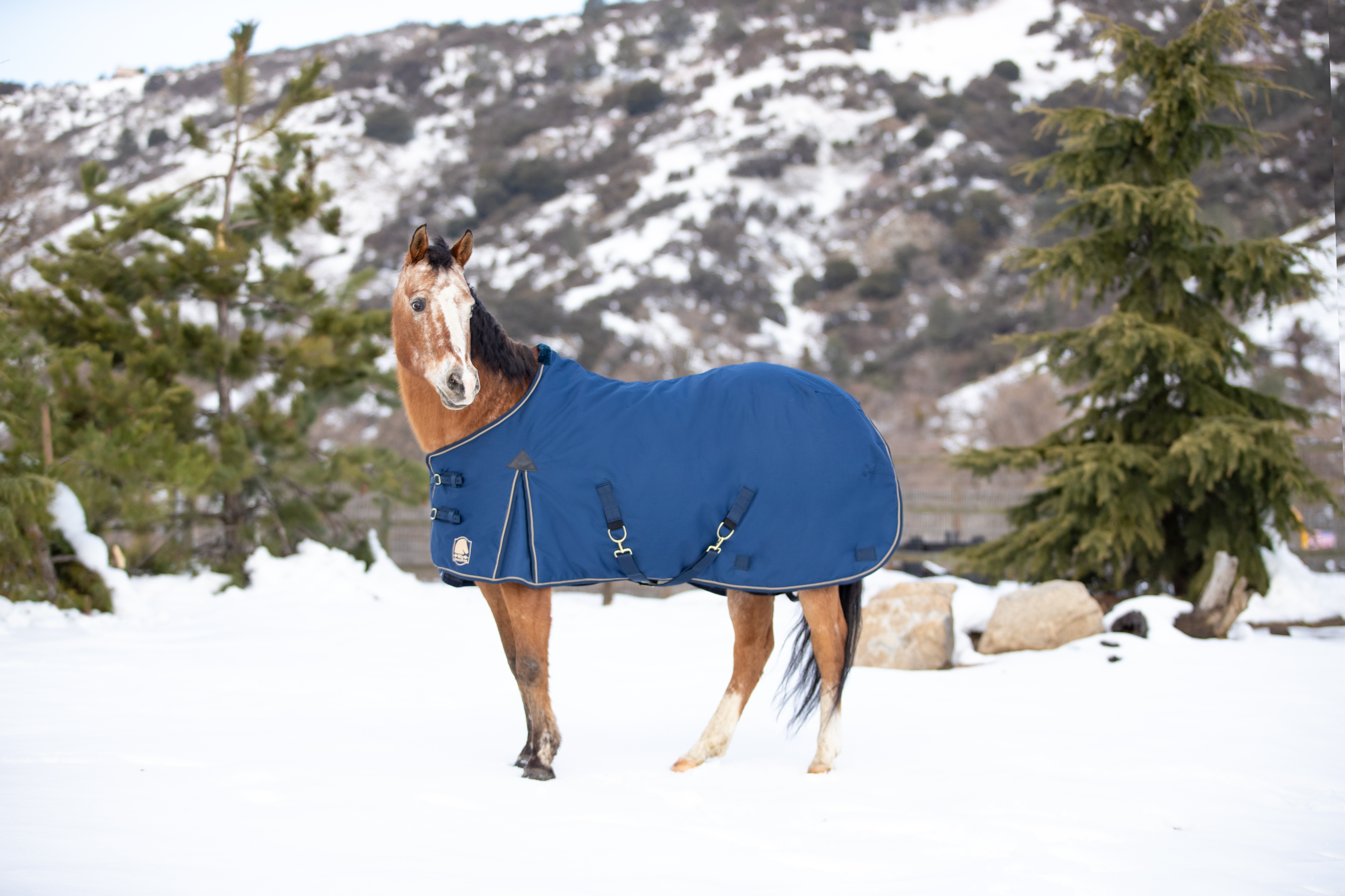 Thermal Therapy Fleece Cooler