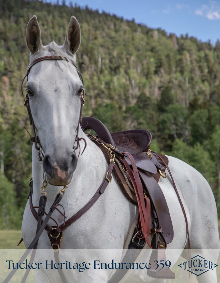 Tucker Heritage Endurance 359 saddle on white horse