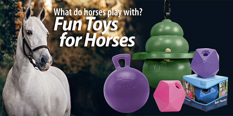 what do horses play with-toys for horses in stall